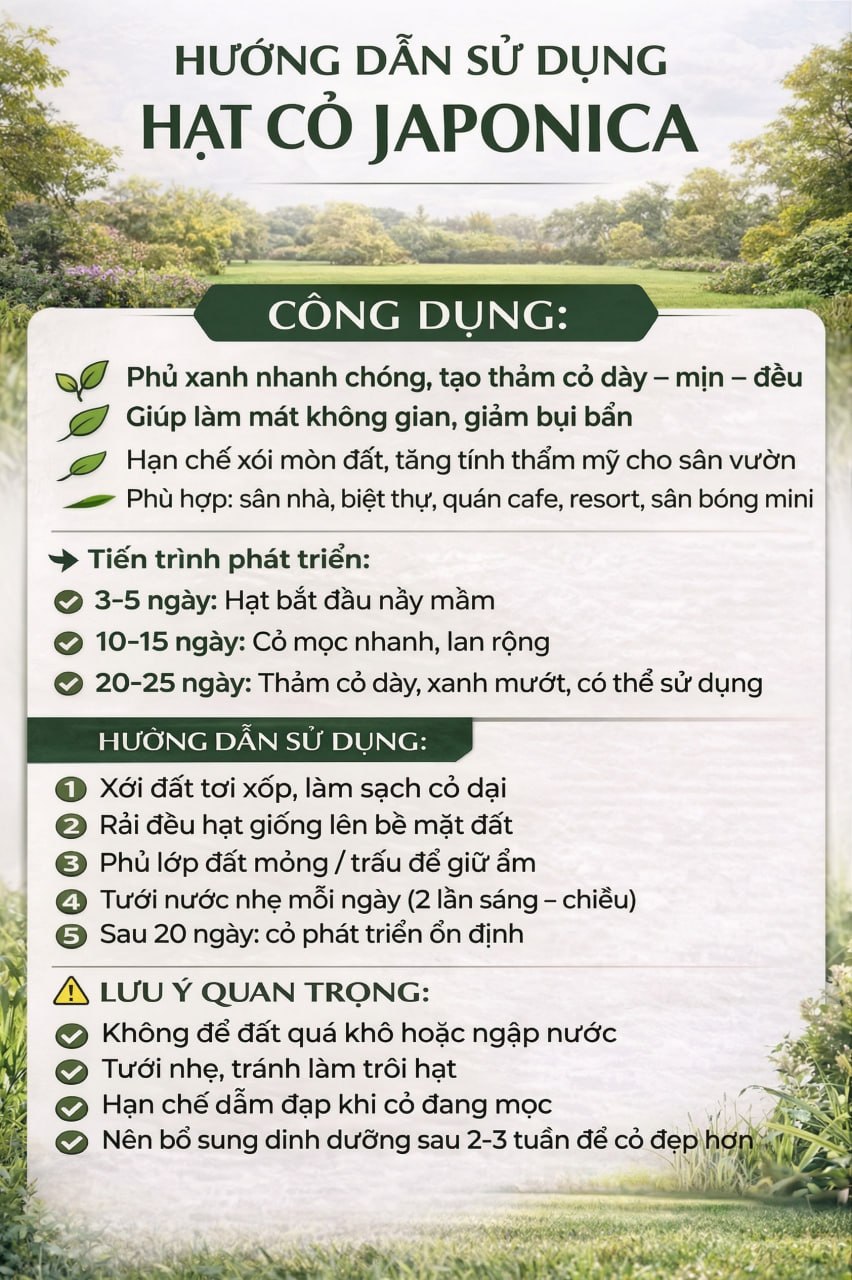Hạt Cỏ Xanh 4 Mùa JAPONICA Cao Cấp 100gram 6