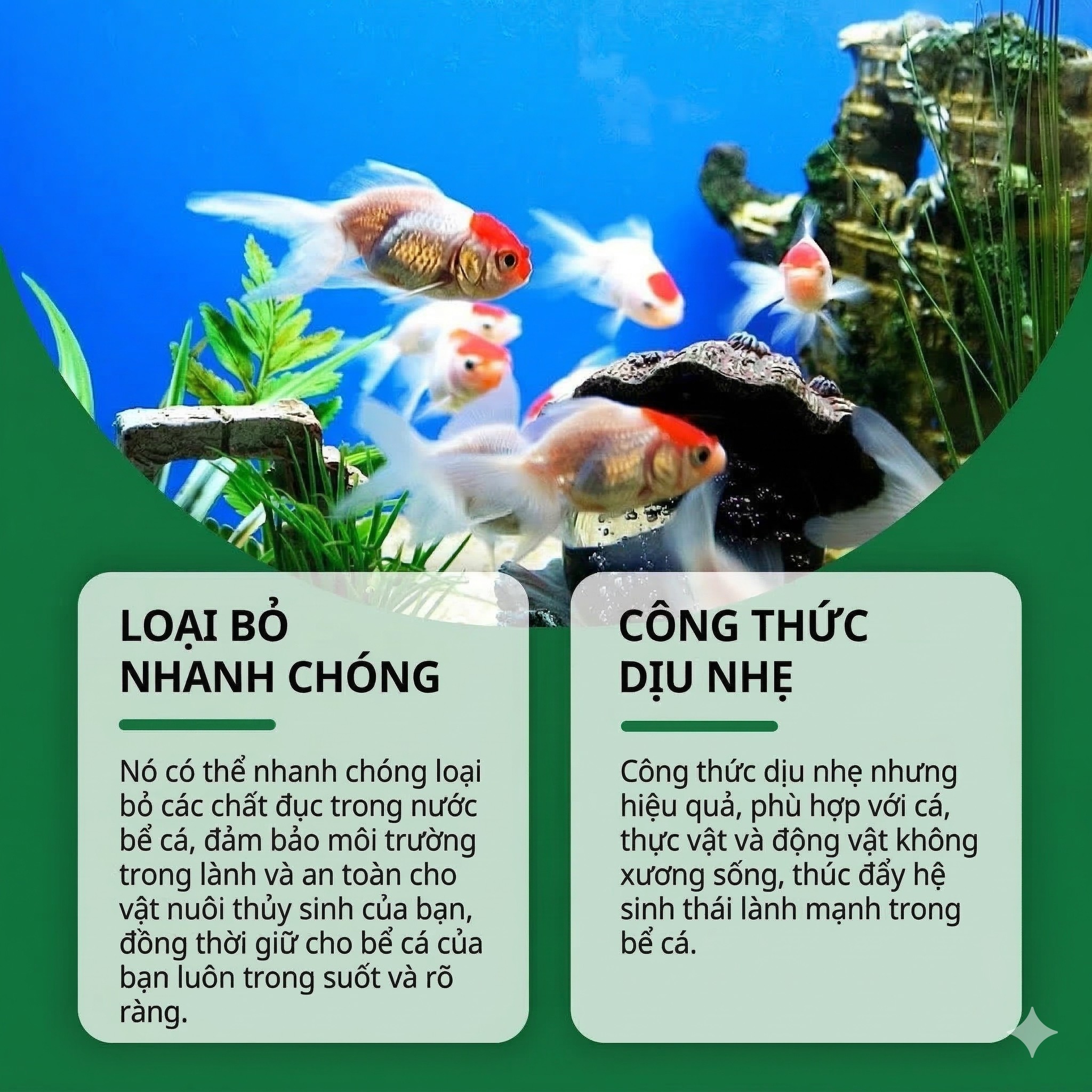 Viên Lọc Nước Polymer Cao Phân Tử 3