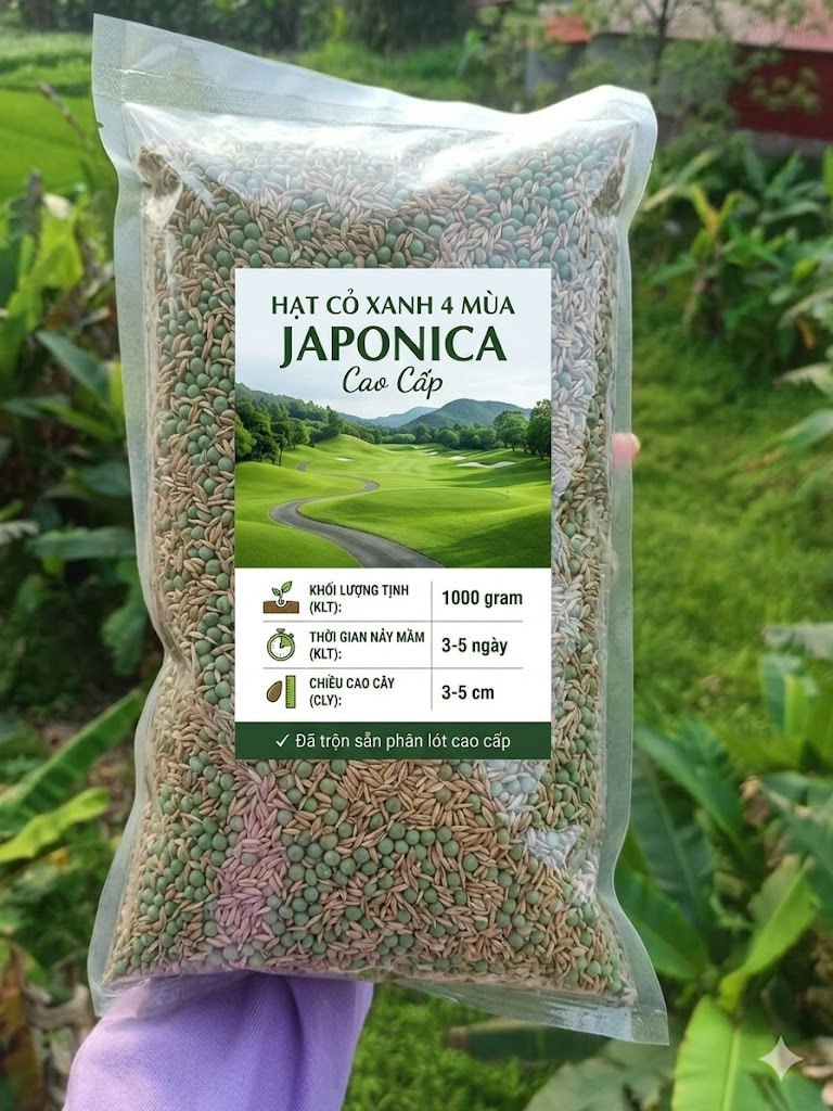 Hạt Cỏ Xanh 4 Mùa JAPONICA Cao Cấp 100gram 2